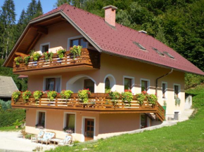 Гостиница Apartma Smole, Краньска Гора